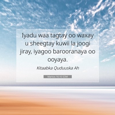 Picture 07 - Markos 16:10 SOM - Iyadu waa tagtay oo waxay u sheegtay kuwii la - Bible Verse Picture