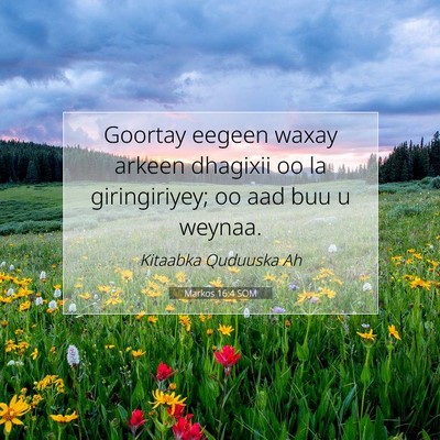 Picture 07 - Markos 16:4 SOM - Goortay eegeen waxay arkeen dhagixii oo la - Bible Verse Picture