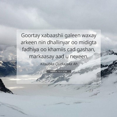Picture 07 - Markos 16:5 SOM - Goortay xabaashii galeen waxay arkeen nin - Bible Verse Picture