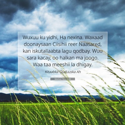 Picture 07 - Markos 16:6 SOM - Wuxuu ku yidhi, Ha nexina. Waxaad doonaysaan - Bible Verse Picture