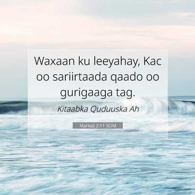 Picture 07 - Markos 2:11 SOM - Waxaan ku leeyahay, Kac oo sariirtaada qaado oo - Bible Verse Picture
