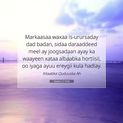 Picture 07 - Markos 2:2 SOM - Markaasaa waxaa is-urursaday dad badan, sidaa - Bible Verse Picture