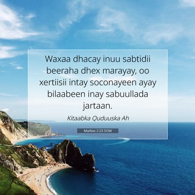 Picture 07 - Markos 2:23 SOM - Waxaa dhacay inuu sabtidii beeraha dhex marayay, - Bible Verse Picture