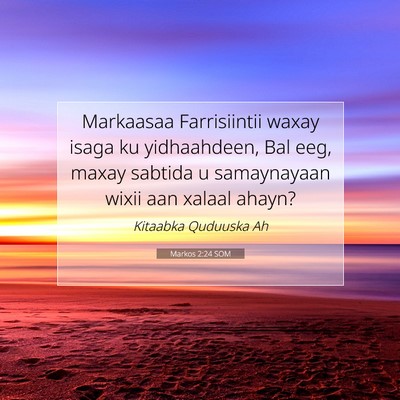 Picture 07 - Markos 2:24 SOM - Markaasaa Farrisiintii waxay isaga ku - Bible Verse Picture
