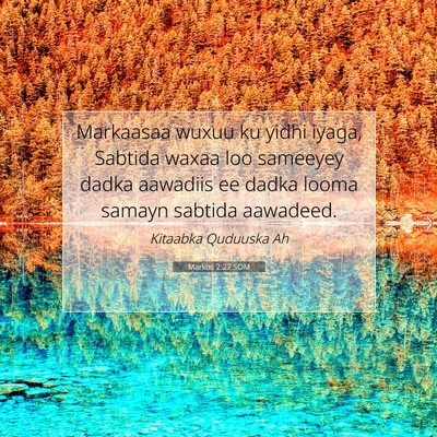 Picture 07 - Markos 2:27 SOM - Markaasaa wuxuu ku yidhi iyaga, Sabtida waxaa loo - Bible Verse Picture