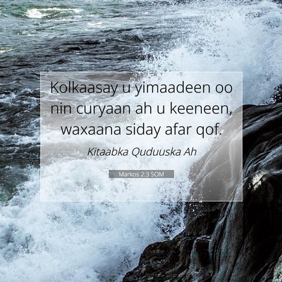 Picture 07 - Markos 2:3 SOM - Kolkaasay u yimaadeen oo nin curyaan ah u - Bible Verse Picture