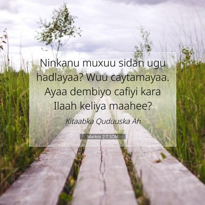 Picture 07 - Markos 2:7 SOM - Ninkanu muxuu sidan ugu hadlayaa? Wuu caytamayaa. - Bible Verse Picture