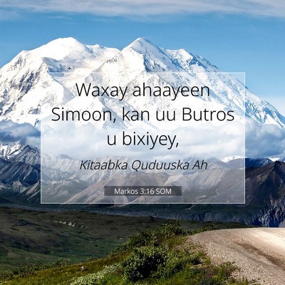 Picture 07 - Markos 3:16 SOM - Waxay ahaayeen Simoon, kan uu Butros u - Bible Verse Picture