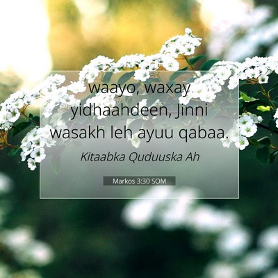 Picture 07 - Markos 3:30 SOM - waayo, waxay yidhaahdeen, Jinni wasakh leh ayuu - Bible Verse Picture