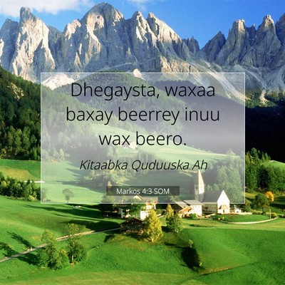 Picture 07 - Markos 4:3 SOM - Dhegaysta, waxaa baxay beerrey inuu wax - Bible Verse Picture