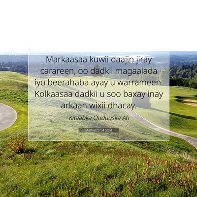 Picture 07 - Markos 5:14 SOM - Markaasaa kuwii daajin jiray carareen, oo dadkii - Bible Verse Picture