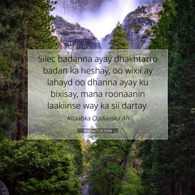 Picture 07 - Markos 5:26 SOM - Silec badanna ayay dhakhtarro badan ka heshay, oo - Bible Verse Picture
