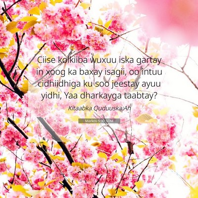 Picture 07 - Markos 5:30 SOM - Ciise kolkiiba wuxuu iska gartay in xoog ka baxay - Bible Verse Picture