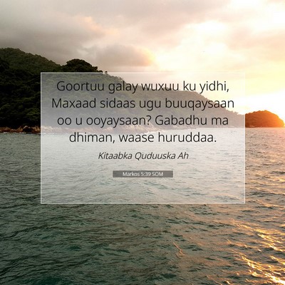 Picture 07 - Markos 5:39 SOM - Goortuu galay wuxuu ku yidhi, Maxaad sidaas ugu - Bible Verse Picture
