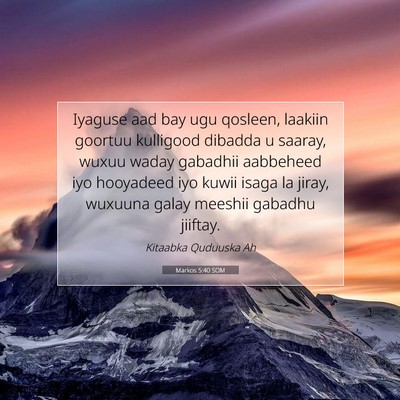 Picture 07 - Markos 5:40 SOM - Iyaguse aad bay ugu qosleen, laakiin goortuu - Bible Verse Picture