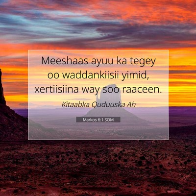 Picture 07 - Markos 6:1 SOM - Meeshaas ayuu ka tegey oo waddankiisii yimid, - Bible Verse Picture