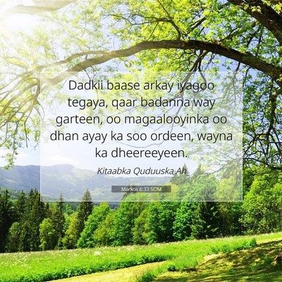 Picture 07 - Markos 6:33 SOM - Dadkii baase arkay iyagoo tegaya, qaar badanna - Bible Verse Picture