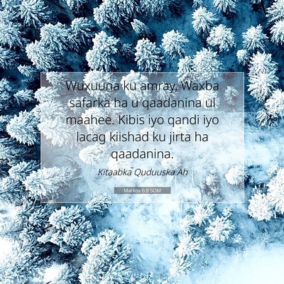 Picture 07 - Markos 6:8 SOM - Wuxuuna ku amray, Waxba safarka ha u qaadanina ul - Bible Verse Picture