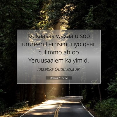Picture 07 - Markos 7:1 SOM - Kolkaasaa waxaa u soo urureen Farrisiintii iyo - Bible Verse Picture