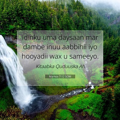 Picture 07 - Markos 7:12 SOM - idinku uma daysaan mar dambe inuu aabbihii iyo - Bible Verse Picture