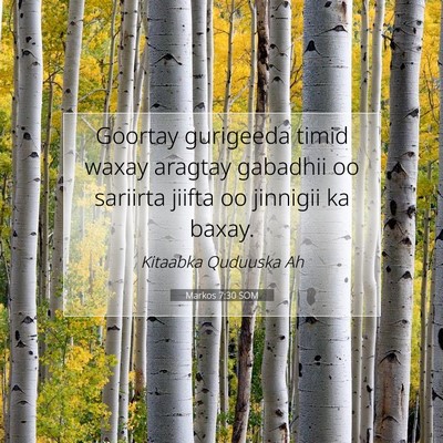 Picture 07 - Markos 7:30 SOM - Goortay gurigeeda timid waxay aragtay gabadhii oo - Bible Verse Picture