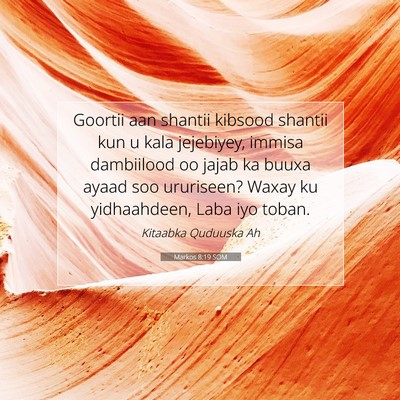 Picture 07 - Markos 8:19 SOM - Goortii aan shantii kibsood shantii kun u kala - Bible Verse Picture