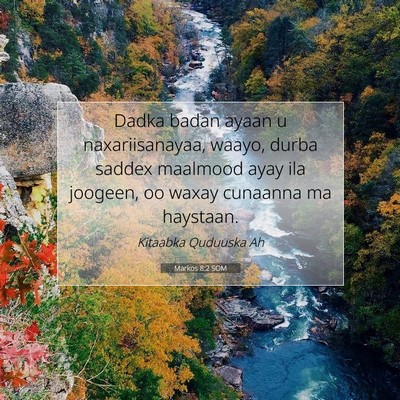 Picture 07 - Markos 8:2 SOM - Dadka badan ayaan u naxariisanayaa, waayo, durba - Bible Verse Picture