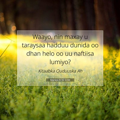 Picture 07 - Markos 8:36 SOM - Waayo, nin maxay u taraysaa hadduu dunida oo dhan - Bible Verse Picture