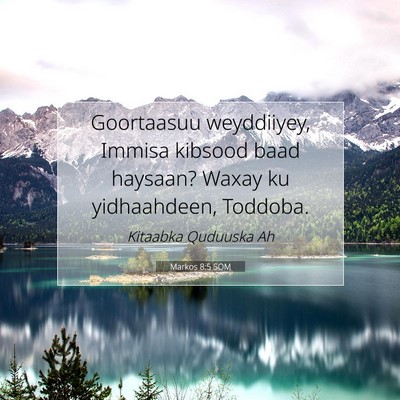 Picture 07 - Markos 8:5 SOM - Goortaasuu weyddiiyey, Immisa kibsood baad - Bible Verse Picture