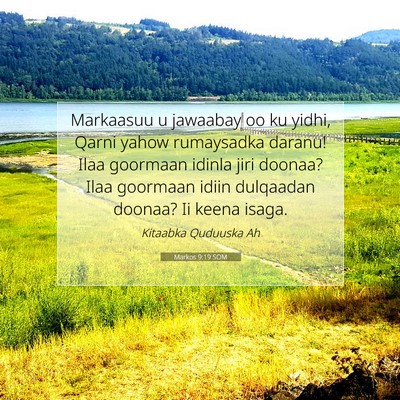 Picture 07 - Markos 9:19 SOM - Markaasuu u jawaabay oo ku yidhi, Qarni yahow - Bible Verse Picture