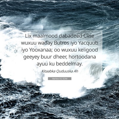 Picture 07 - Markos 9:2 SOM - Lix maalmood dabadeed Ciise wuxuu waday Butros - Bible Verse Picture