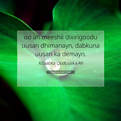 Picture 07 - Markos 9:44 SOM - oo ah meeshii dixirigoodu uusan dhimanayn, - Bible Verse Picture