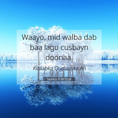 Picture 07 - Markos 9:49 SOM - Waayo, mid walba dab baa lagu cusbayn - Bible Verse Picture