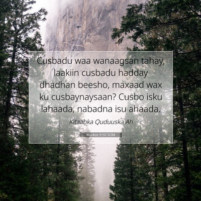 Picture 07 - Markos 9:50 SOM - Cusbadu waa wanaagsan tahay, laakiin cusbadu - Bible Verse Picture