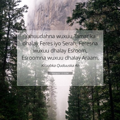 Picture 07 - Matayos 1:3 SOM - Yahuudahna wuxuu Tamar ka dhalay Feres iyo Serah, - Bible Verse Picture