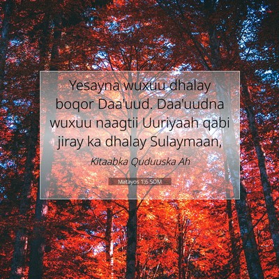 Picture 07 - Matayos 1:6 SOM - Yesayna wuxuu dhalay boqor Daa'uud. Daa'uudna - Bible Verse Picture