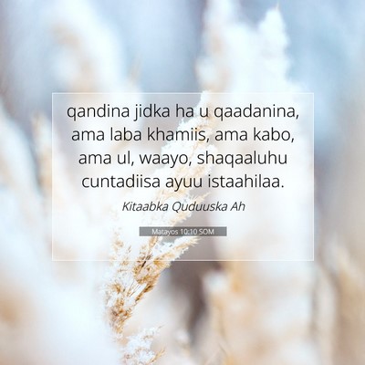 Picture 07 - Matayos 10:10 SOM - qandina jidka ha u qaadanina, ama laba khamiis, - Bible Verse Picture
