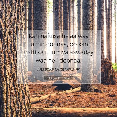 Picture 07 - Matayos 10:39 SOM - Kan naftiisa helaa waa lumin doonaa, oo kan - Bible Verse Picture