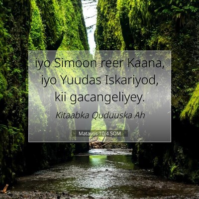 Picture 07 - Matayos 10:4 SOM - iyo Simoon reer Kaana, iyo Yuudas Iskariyod, kii - Bible Verse Picture
