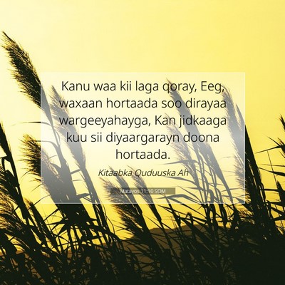 Picture 07 - Matayos 11:10 SOM - Kanu waa kii laga qoray, Eeg, waxaan hortaada soo - Bible Verse Picture
