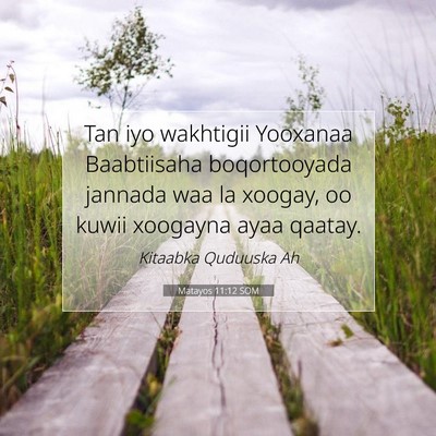 Picture 07 - Matayos 11:12 SOM - Tan iyo wakhtigii Yooxanaa Baabtiisaha - Bible Verse Picture