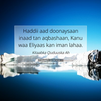 Picture 07 - Matayos 11:14 SOM - Haddii aad doonaysaan inaad tan aqbashaan, Kanu - Bible Verse Picture