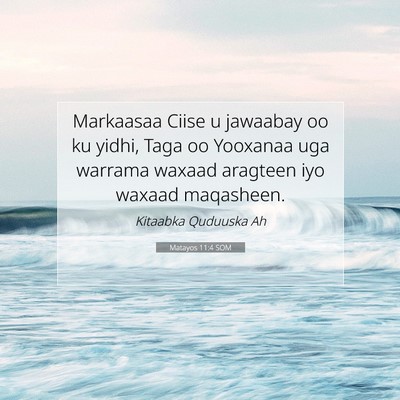Picture 07 - Matayos 11:4 SOM - Markaasaa Ciise u jawaabay oo ku yidhi, Taga oo - Bible Verse Picture