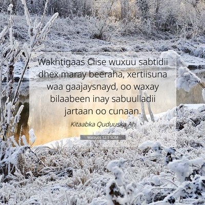 Picture 07 - Matayos 12:1 SOM - Wakhtigaas Ciise wuxuu sabtidii dhex maray - Bible Verse Picture