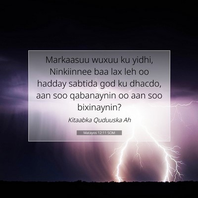 Picture 07 - Matayos 12:11 SOM - Markaasuu wuxuu ku yidhi, Ninkiinnee baa lax leh - Bible Verse Picture