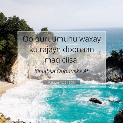 Picture 07 - Matayos 12:21 SOM - Oo quruumuhu waxay ku rajayn doonaan - Bible Verse Picture
