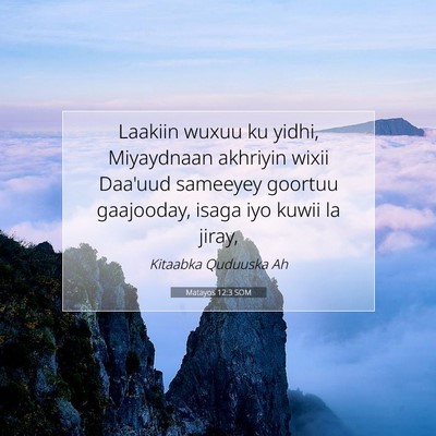 Picture 07 - Matayos 12:3 SOM - Laakiin wuxuu ku yidhi, Miyaydnaan akhriyin wixii - Bible Verse Picture