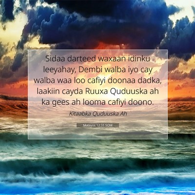 Picture 07 - Matayos 12:31 SOM - Sidaa darteed waxaan idinku leeyahay, Dembi walba - Bible Verse Picture