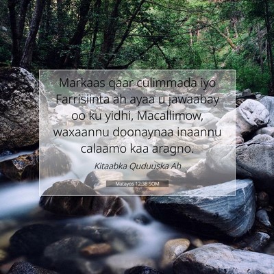 Picture 07 - Matayos 12:38 SOM - Markaas qaar culimmada iyo Farrisiinta ah ayaa u - Bible Verse Picture
