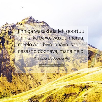 Picture 07 - Matayos 12:43 SOM - Jinniga wasakhda leh goortuu ninka ka baxo, wuxuu - Bible Verse Picture